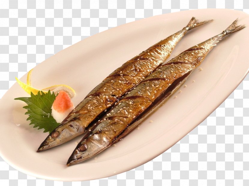Pacific Saury Barbecue Fish - Capelin - A Turtle Transparent PNG