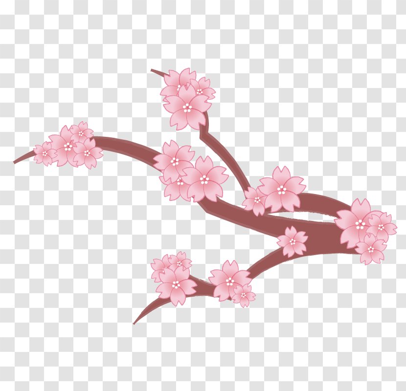 Cherry Blossom Branch Petal Tree Transparent PNG