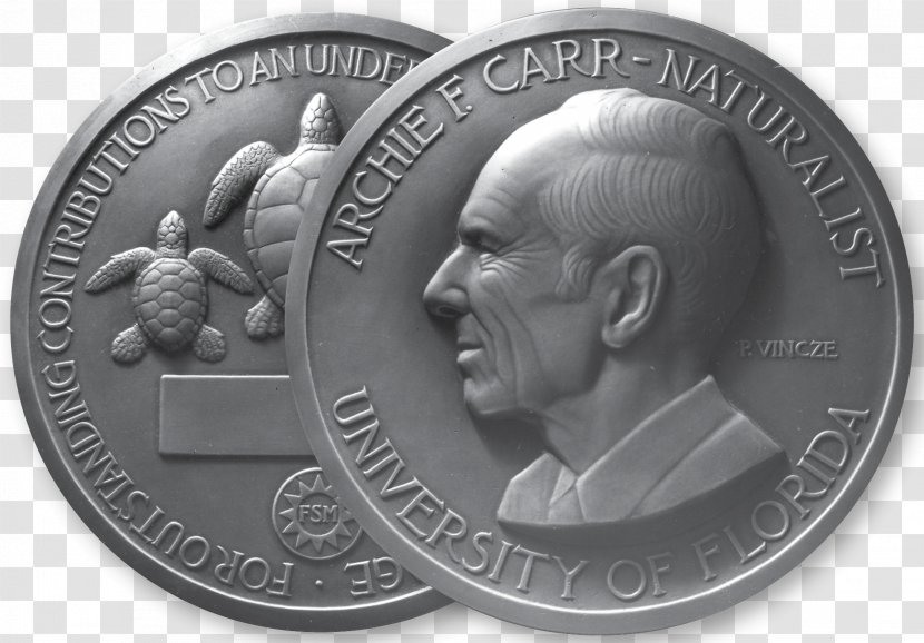 Coin Medal Turtle Florida Award - Money - Combined Effort Transparent PNG