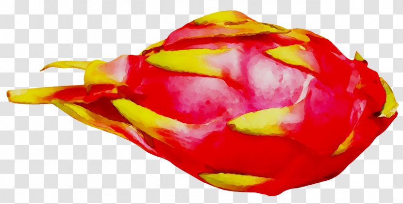 Vegetable Fruit RED.M - Rose Transparent PNG