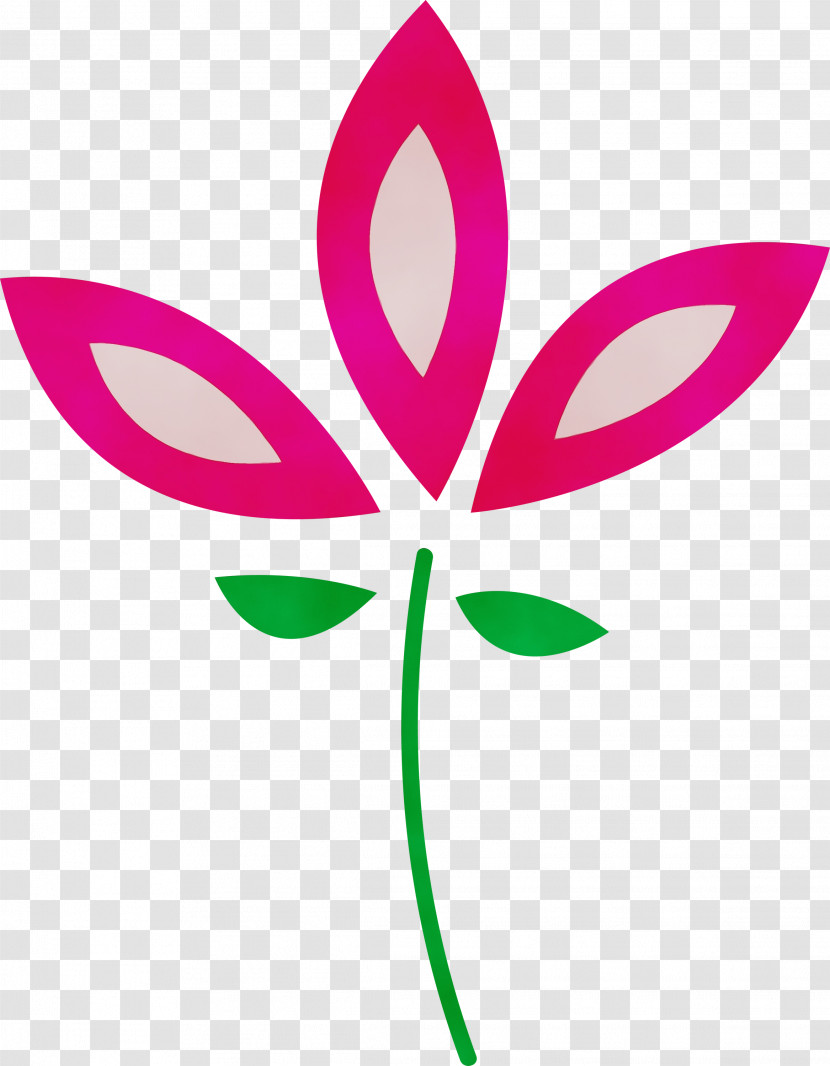 Leaf Plant Stem Flower Petal Flora Transparent PNG