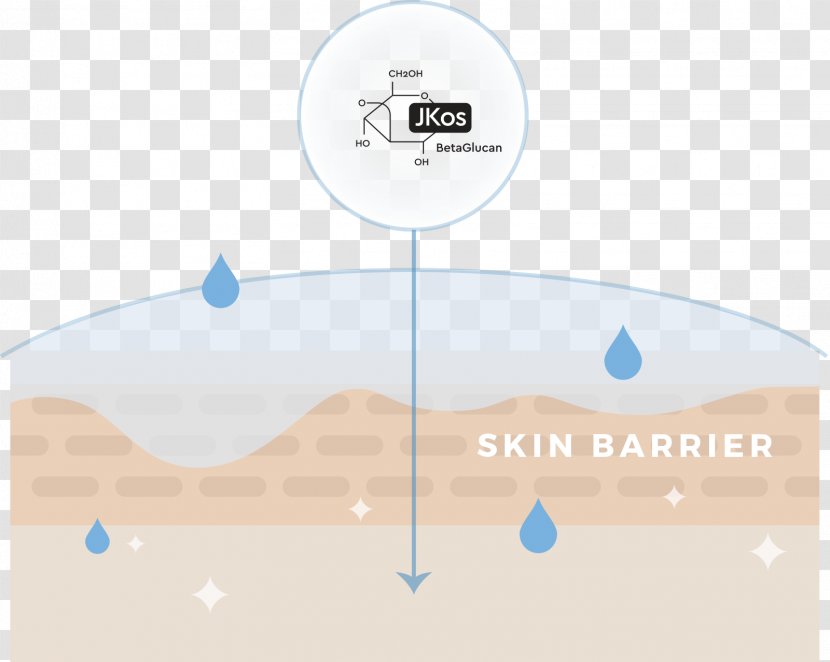 Brand Water Diagram - Sky Transparent PNG