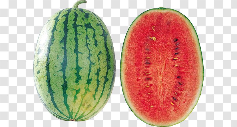 Watermelon Clip Art - Natural Foods Transparent PNG