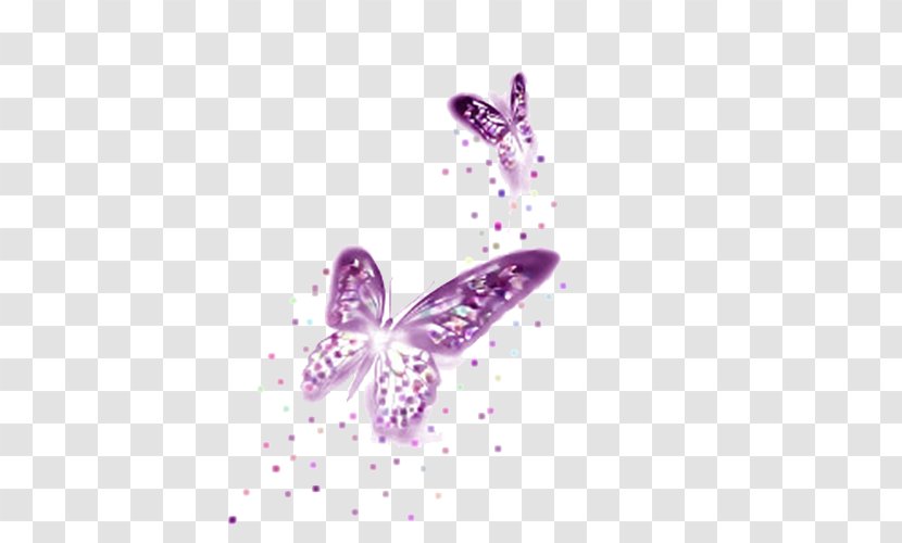 Butterfly Purple Computer File - Violet Transparent PNG