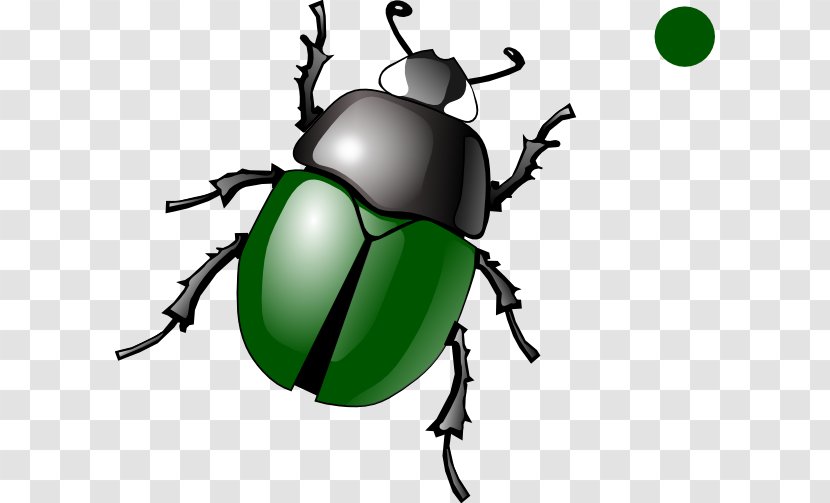 Beetle Clip Art Openclipart Illustration Scarabs - Invertebrate - Click Bug Transparent PNG