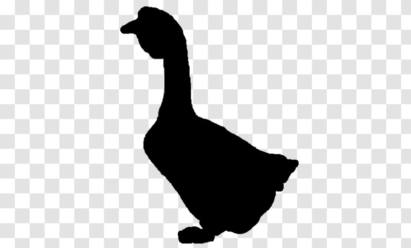 Duck Goose Water Bird Anatidae - Poultry Transparent PNG