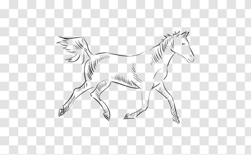 Mane Mustang Pony Colt - Monochrome Transparent PNG