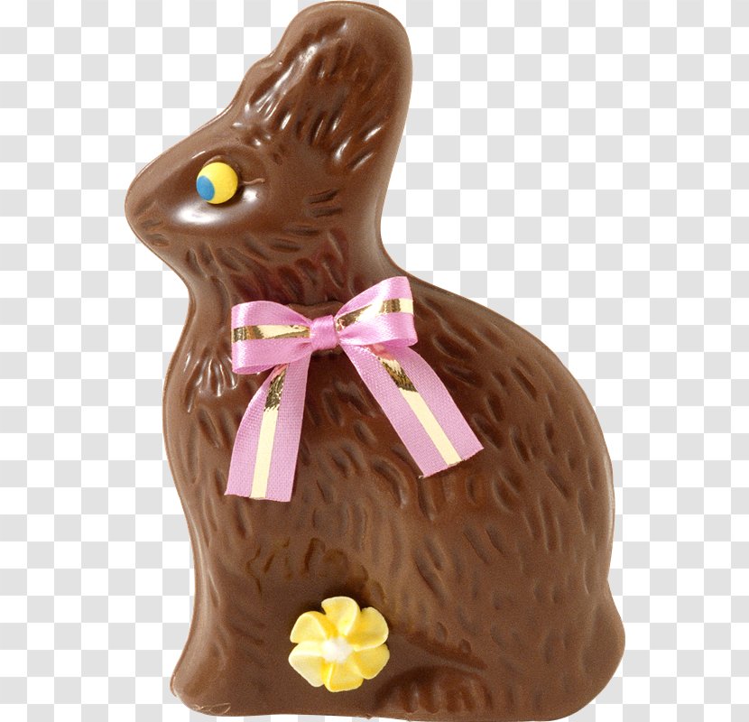 Easter Bunny Chocolate Humour Transparent PNG