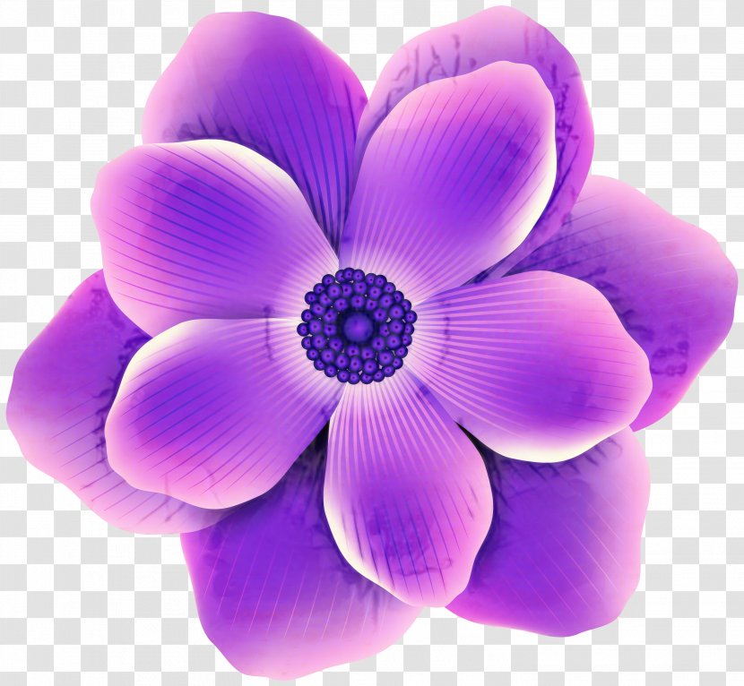 Violet Lilac Flower Petal Purple - Cut Flowers Transparent PNG