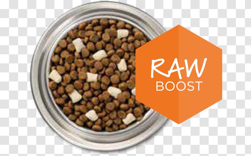 Dog Cat Food Raw Foodism Pet Transparent PNG