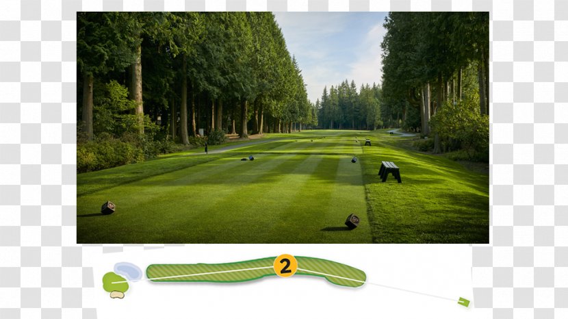 Golf Clubs Course Lawn - Club - Womens Pga Championship Transparent PNG