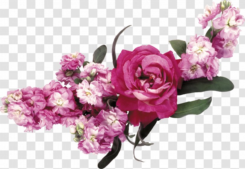 Flower Garden Roses Pink - Wreath - Crown Transparent PNG
