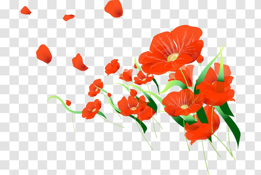International Women's Day 8 March Gift Defender Of The Fatherland Holiday - Poppy Family Transparent PNG