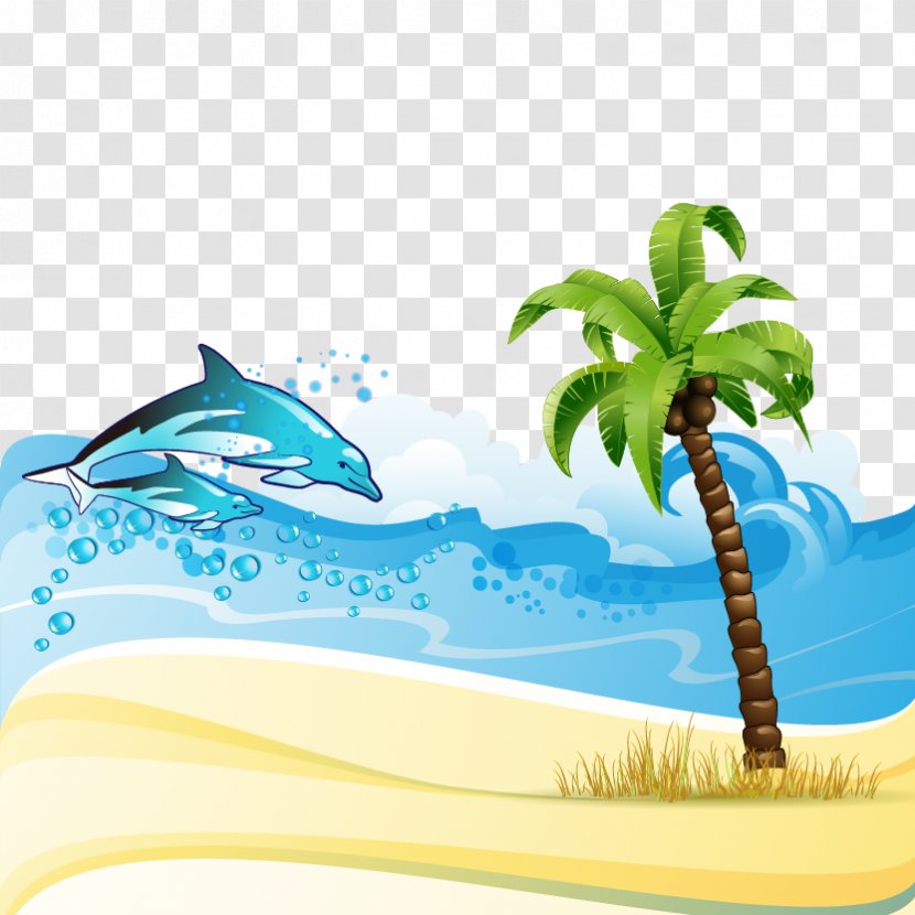 Beach - Fish - Dolphin Transparent PNG