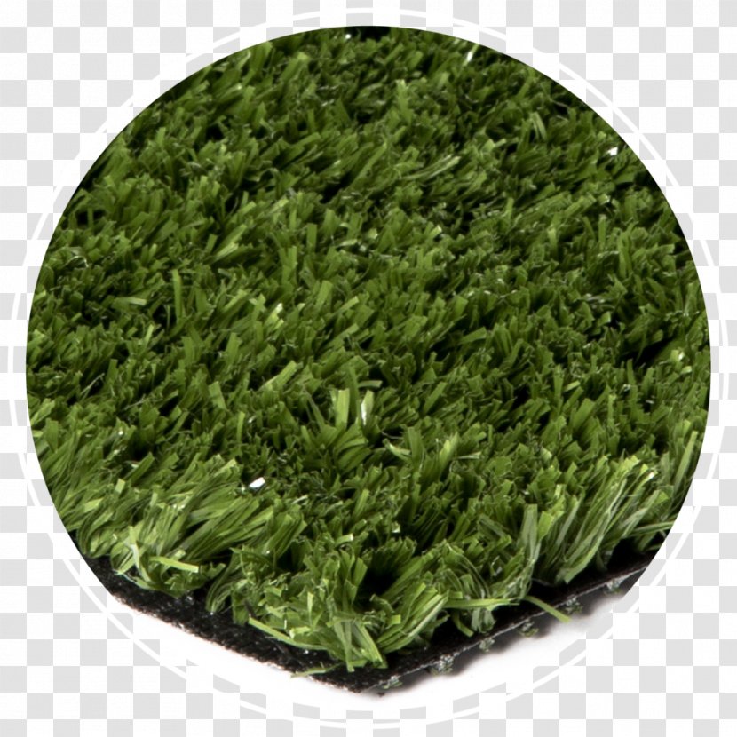 Artificial Turf Master Your Short Game Lawn Bentgrass Synthetic Fiber - Premier Custom Surfacing Inc Transparent PNG
