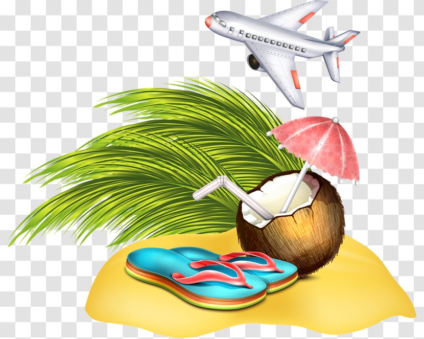 Airplane Illustration - Organism - Coconut Slippers Aircraft Transparent PNG