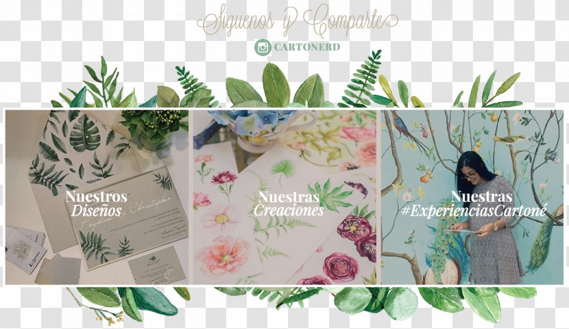 Floral Design Leaf Brand Picture Frames - Azalea Pennant Transparent PNG