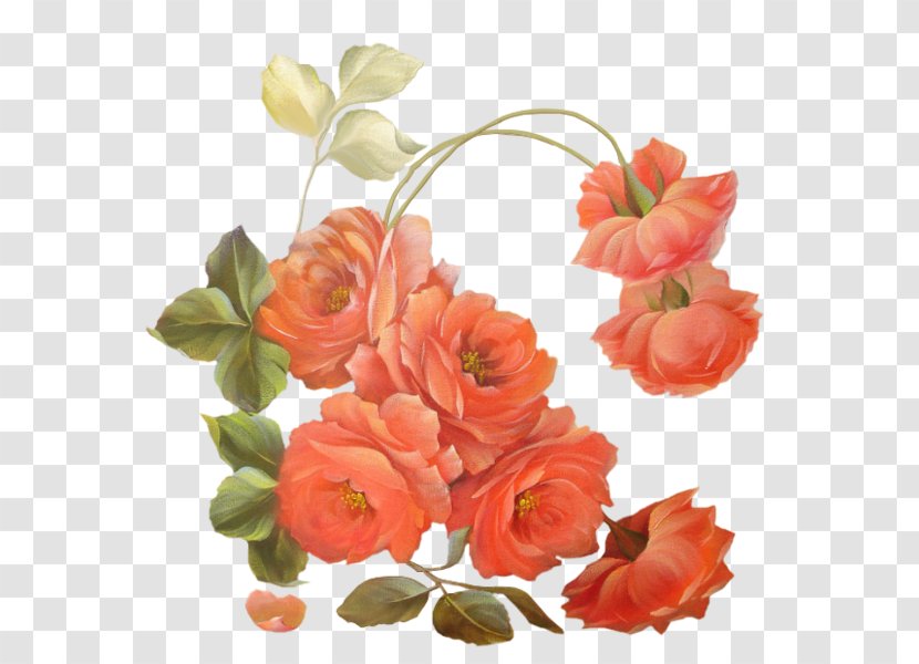 Flower Rose Clip Art Transparent PNG