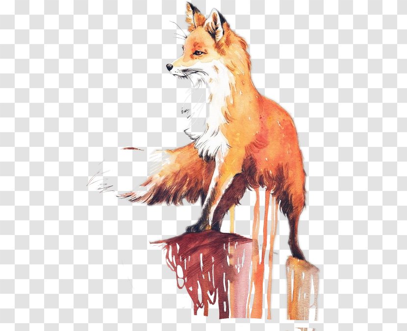 IPhone 7 Red Fox 5 Drawing Watercolor Painting Transparent PNG