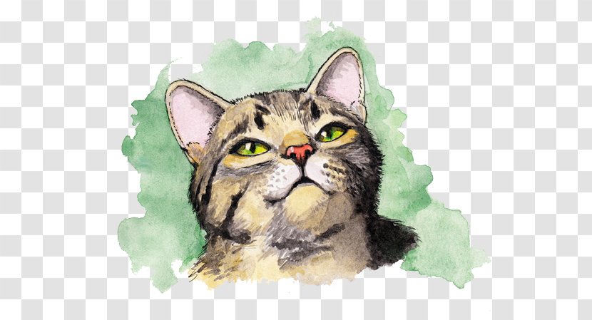 14+ Drawing Pen Kitten Background