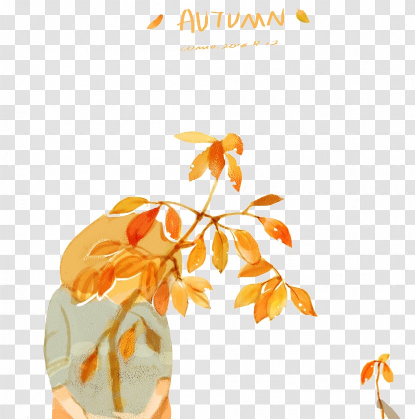 Autumn Leaf - Flower - Leaves Transparent PNG