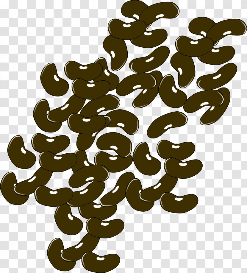 Pinto Bean Black Turtle Clip Art Transparent PNG