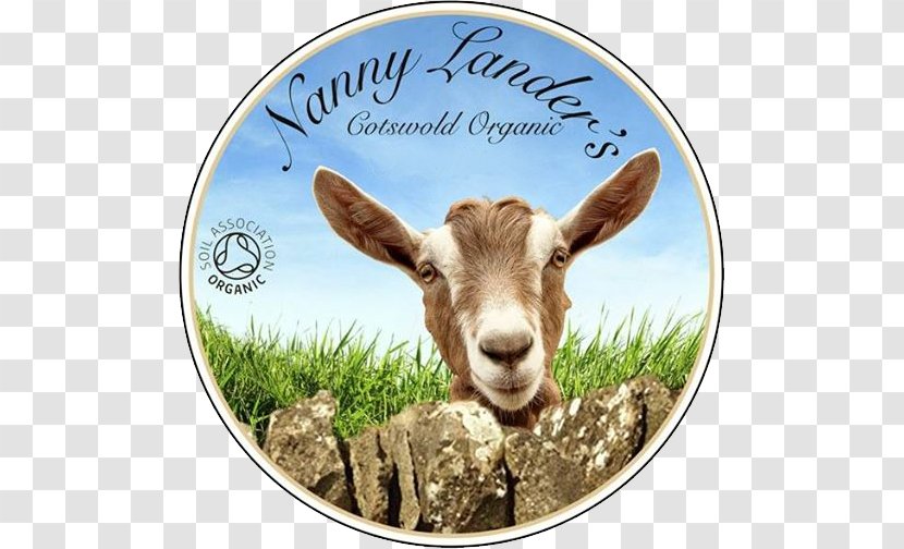 Goat Cheese Farmer Organic Food - Cattle Transparent PNG