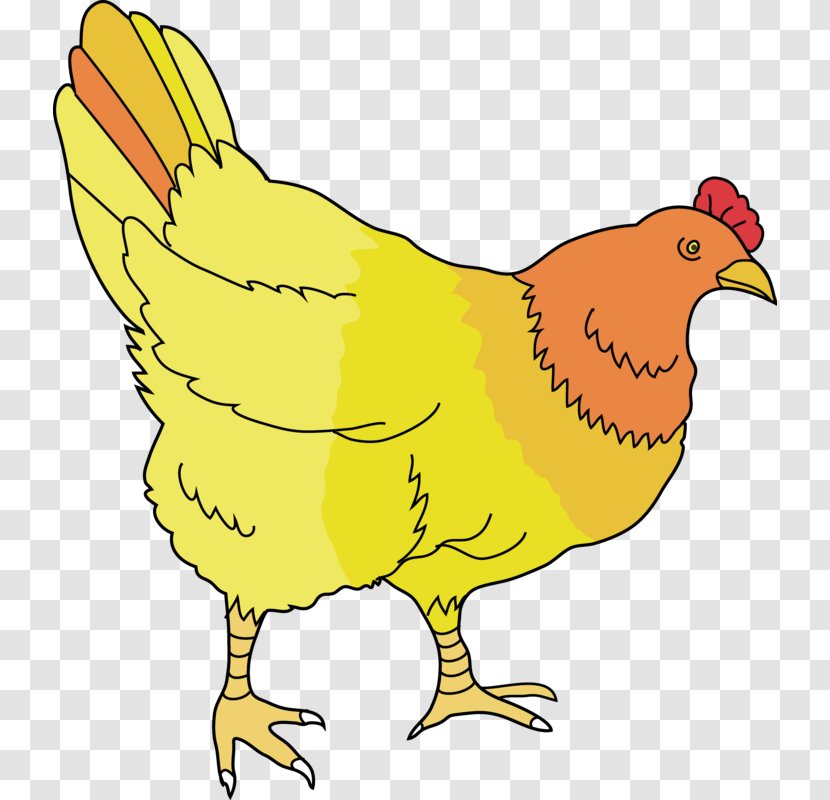 Bird Line Drawing - Rooster - Animal Figure Wing Transparent PNG