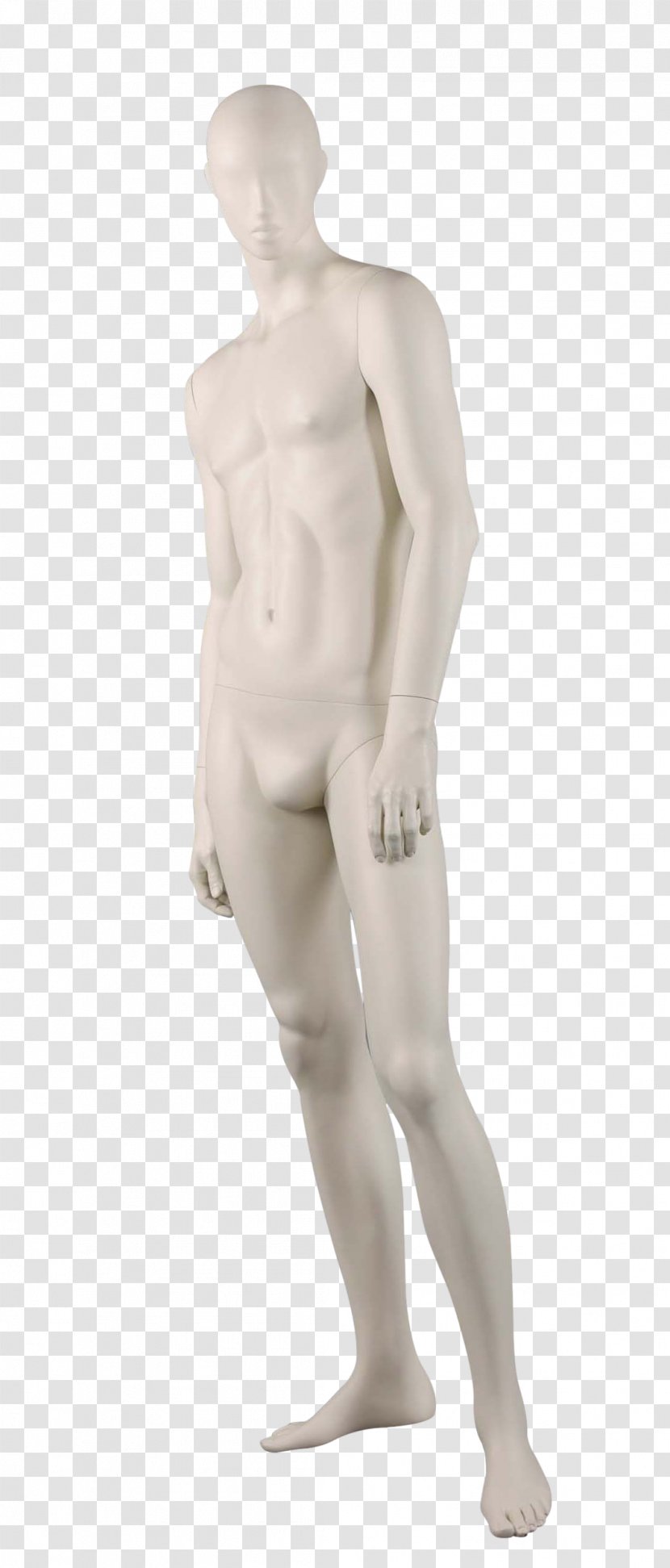 Mannequin AH3 AH4 AH1 AH6 - Frame Transparent PNG