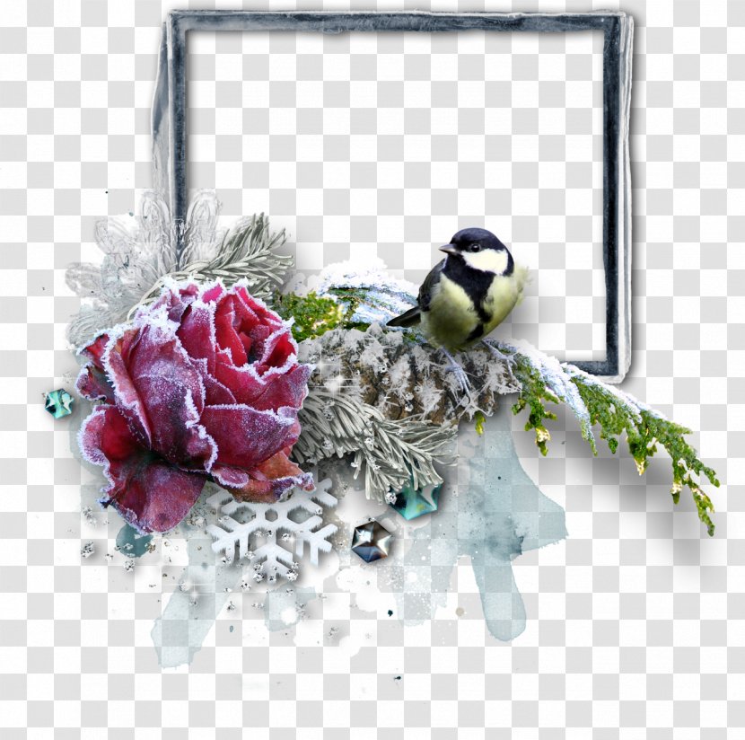 Cut Flowers Clip Art - Photography - Flower Transparent PNG