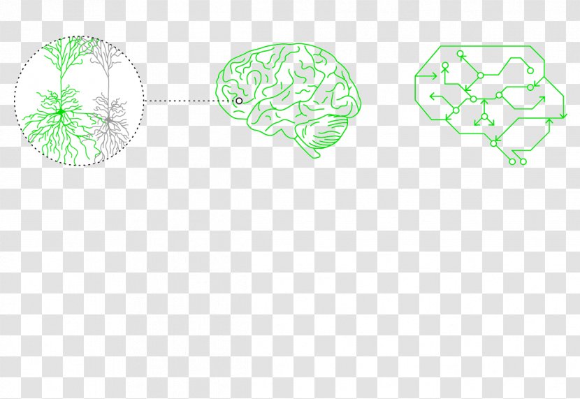 Tree - Text - Cancer Cell Decomposition Map Transparent PNG