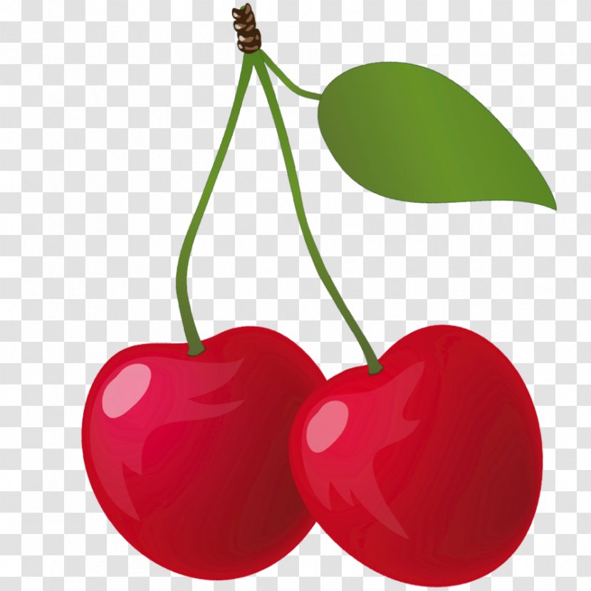 Kirsch Cherry Fruit Food Clip Art Transparent PNG