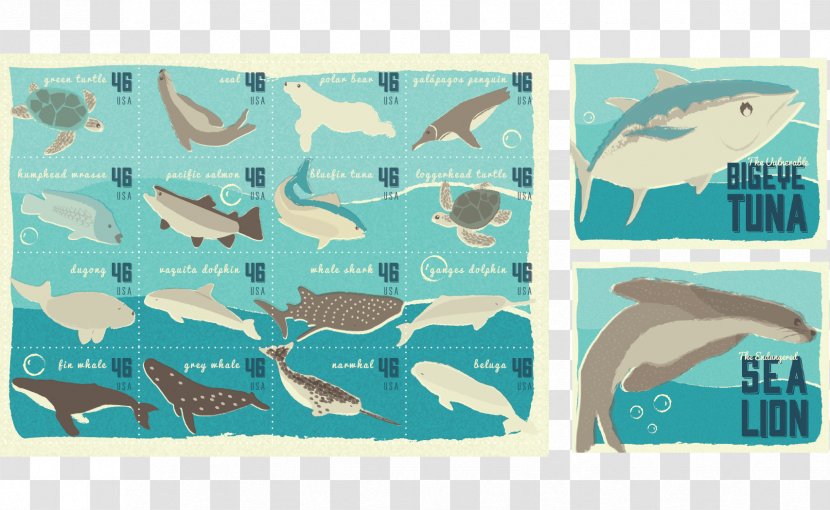 Marine Mammal Fauna Turquoise Fish - Blue - World Tuna Day Transparent PNG