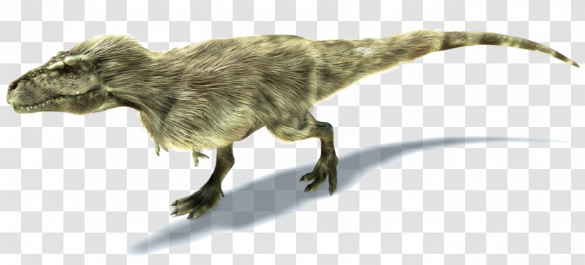 Tyrannosaurus Theropods Ornithomimus Dilong Albertosaurus - Feather - Dinosaur Transparent PNG