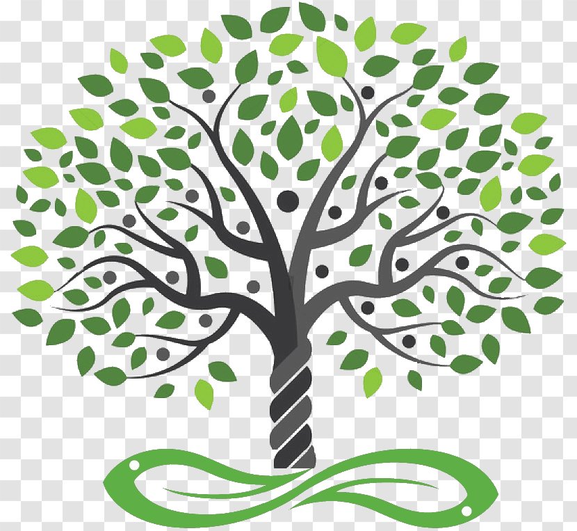 Royalty-free Drawing Tree - Organism - Multicolor Transparent PNG