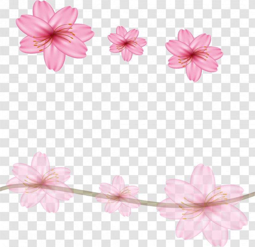 Floral Design Cherry Blossom Flower - Petal - Pink Dream Sakura Border Transparent PNG
