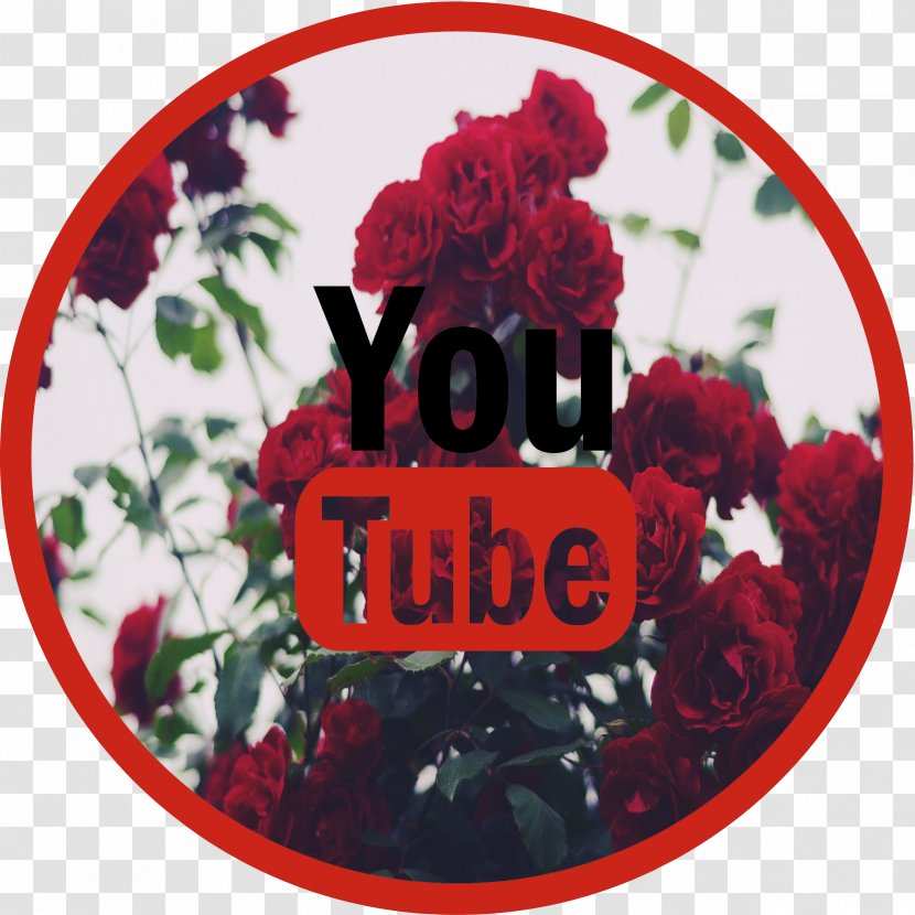 YouTube Sticker Sign Garden Roses Brand - Intouchables - Youtube Transparent PNG