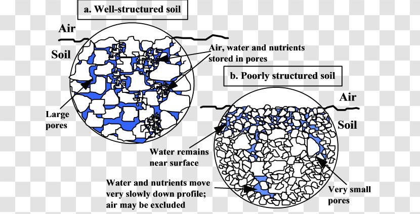 Silt Soil Compaction Diagram Porosity - Cartoon - Sand Transparent PNG