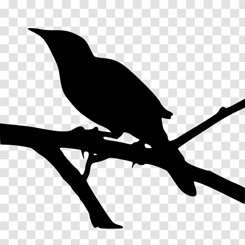 Northern Mockingbird To Kill A Clip Art - Monochrome - Bird Silhouette Transparent PNG