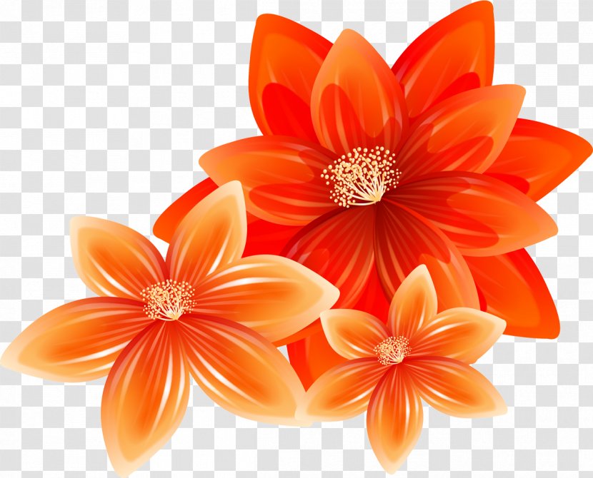 Cut Flowers Illustrator - Orange Transparent PNG