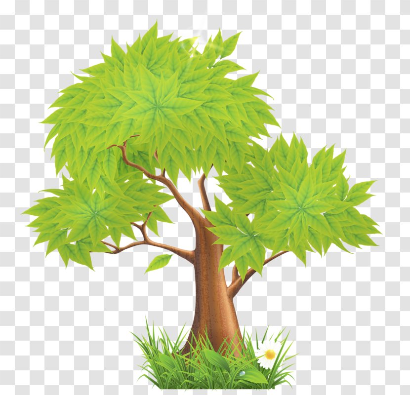 Tree Clip Art - Plant - Green Transparent PNG