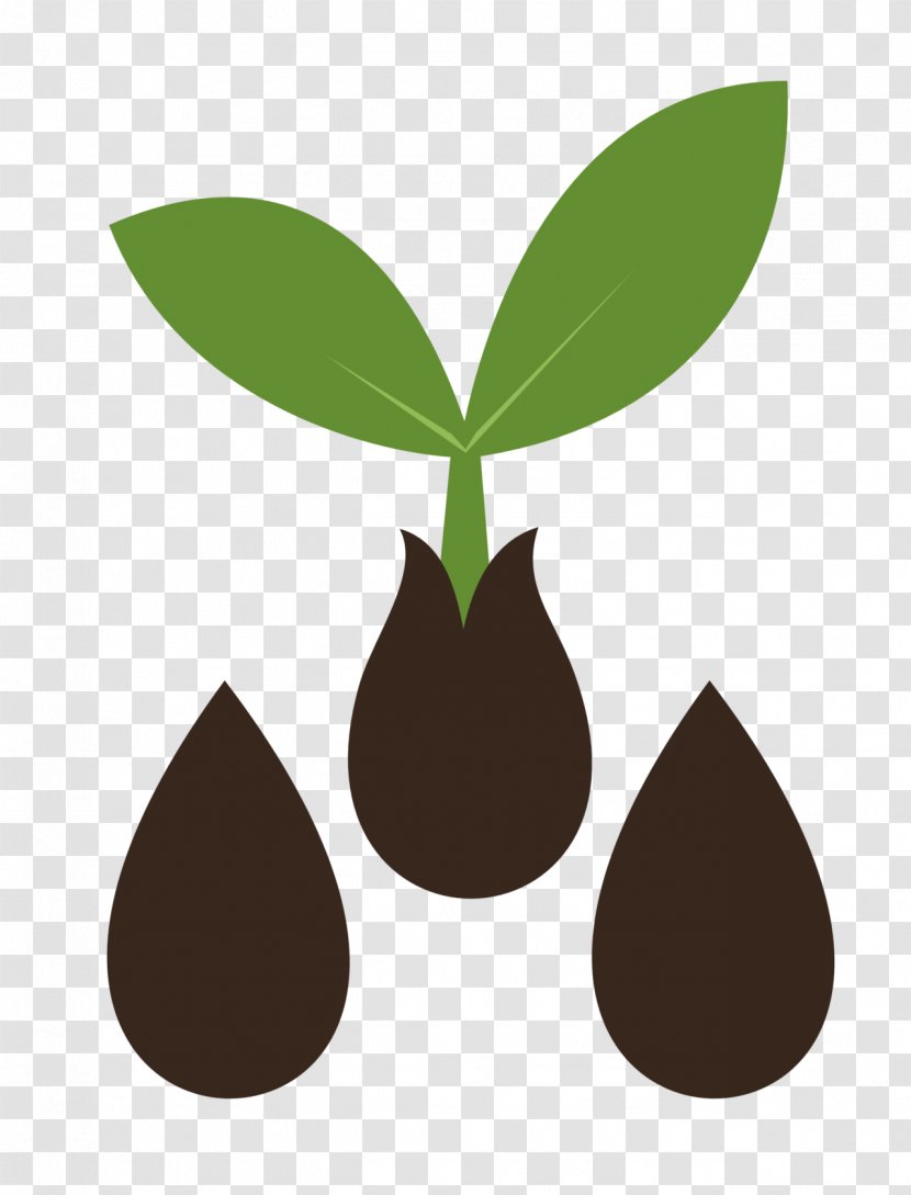 Seed Sprouting Cutie Mark Crusaders DeviantArt Clip Art - Food Transparent PNG