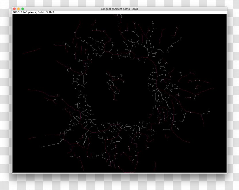 Desktop Wallpaper Computer Screenshot Pattern - Organism - Path Transparent PNG