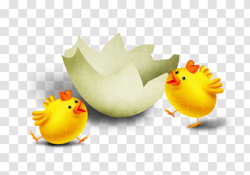Chicken Clip Art - Bird - Chick Eggshell Transparent PNG
