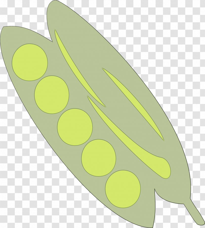 Yellow Green Leaf Plant Transparent PNG