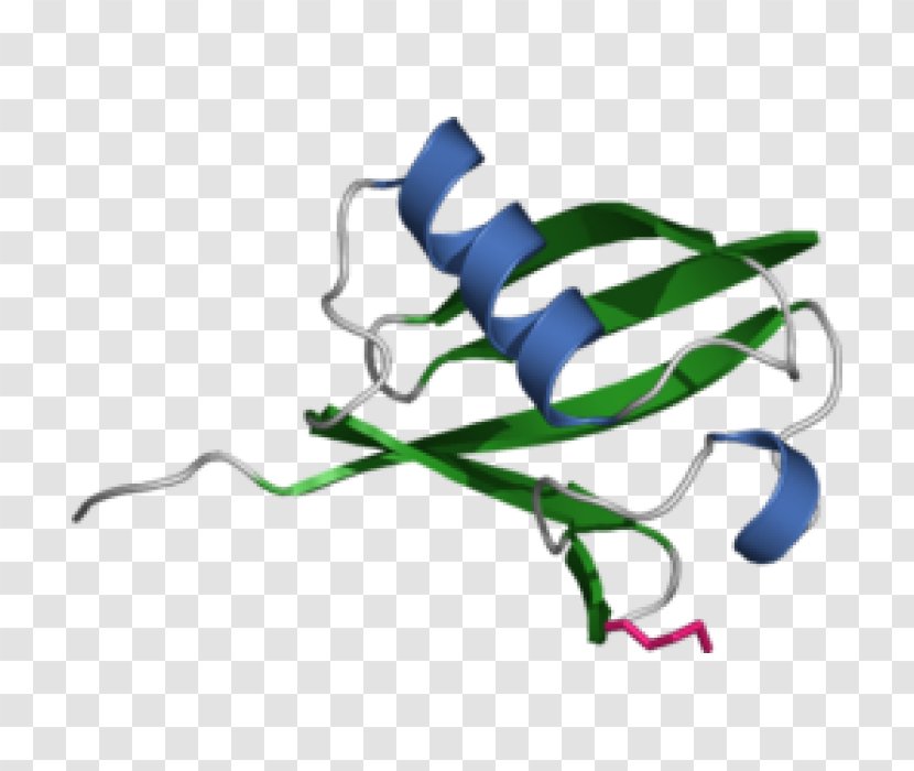 Histone Ubiquitination Proteasome Protein - Autophagy Transparent PNG