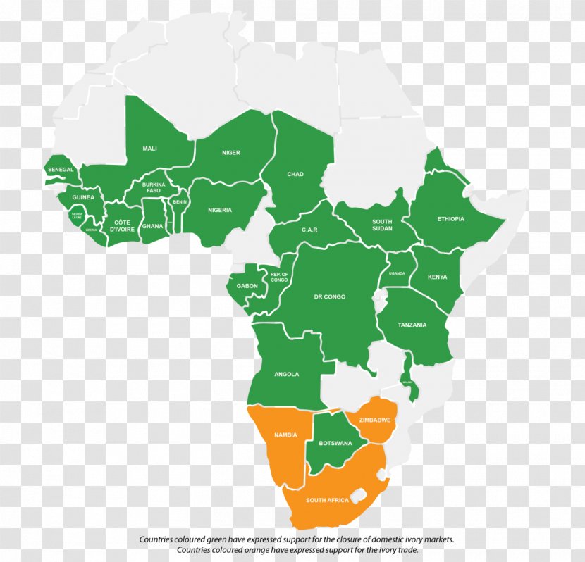 Sub-Saharan Africa Ivory Trade Africans - Plant Transparent PNG