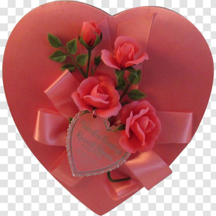 Garden Roses Valentine's Day Cut Flowers Petal Transparent PNG