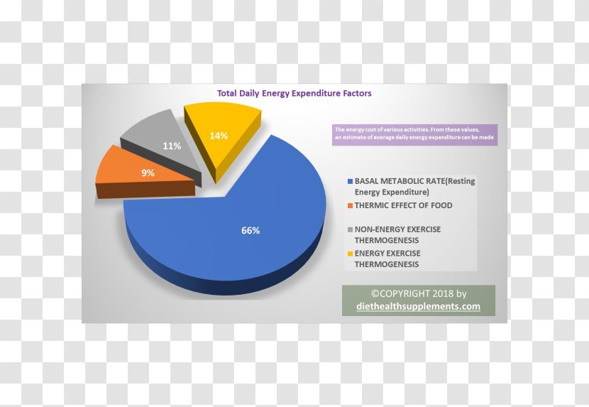 Basal Metabolic Rate Energy Calculator Calculation Metabolism - Mathematics Transparent PNG