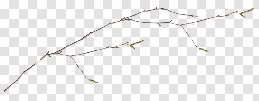 Light Clothes Hanger Pattern - Clothing - Peach Branches Transparent PNG
